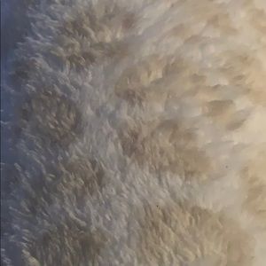 Meet your Posher, Ranya